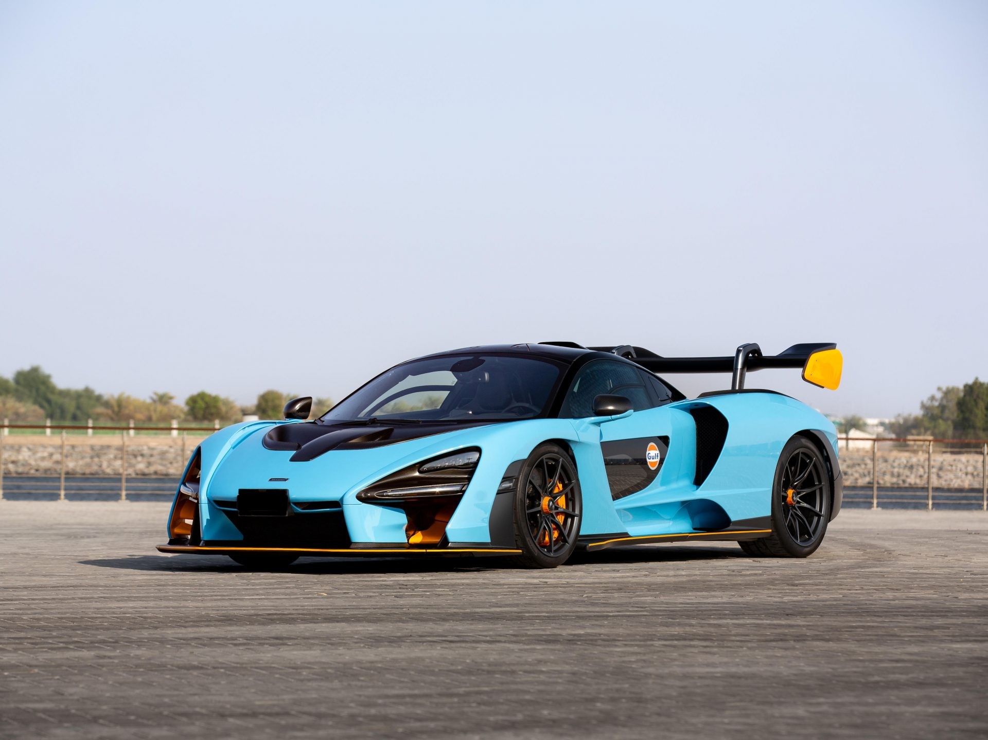 McLaren Senna 全体像
