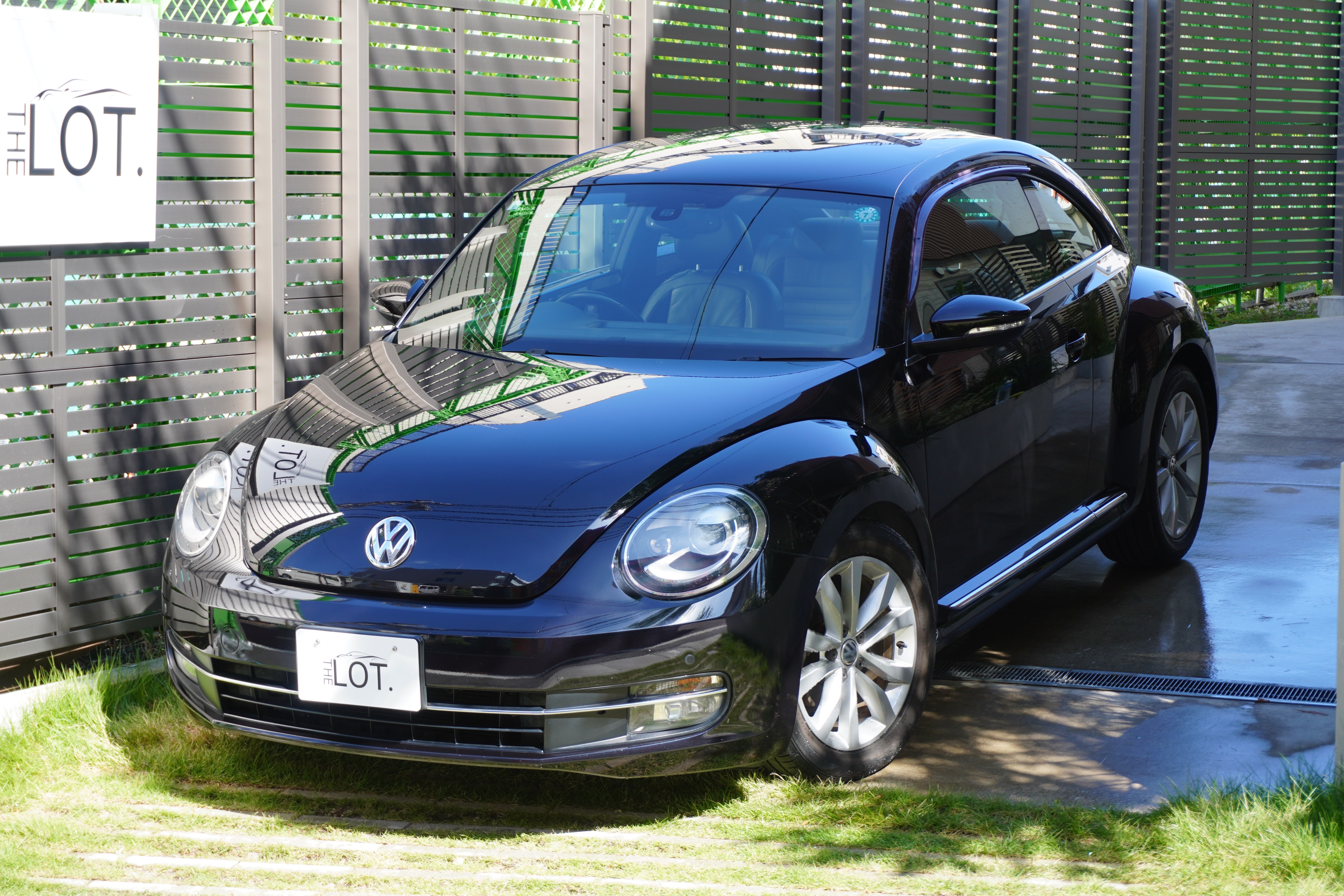 Volkswagen The Beetle Design Leather Package