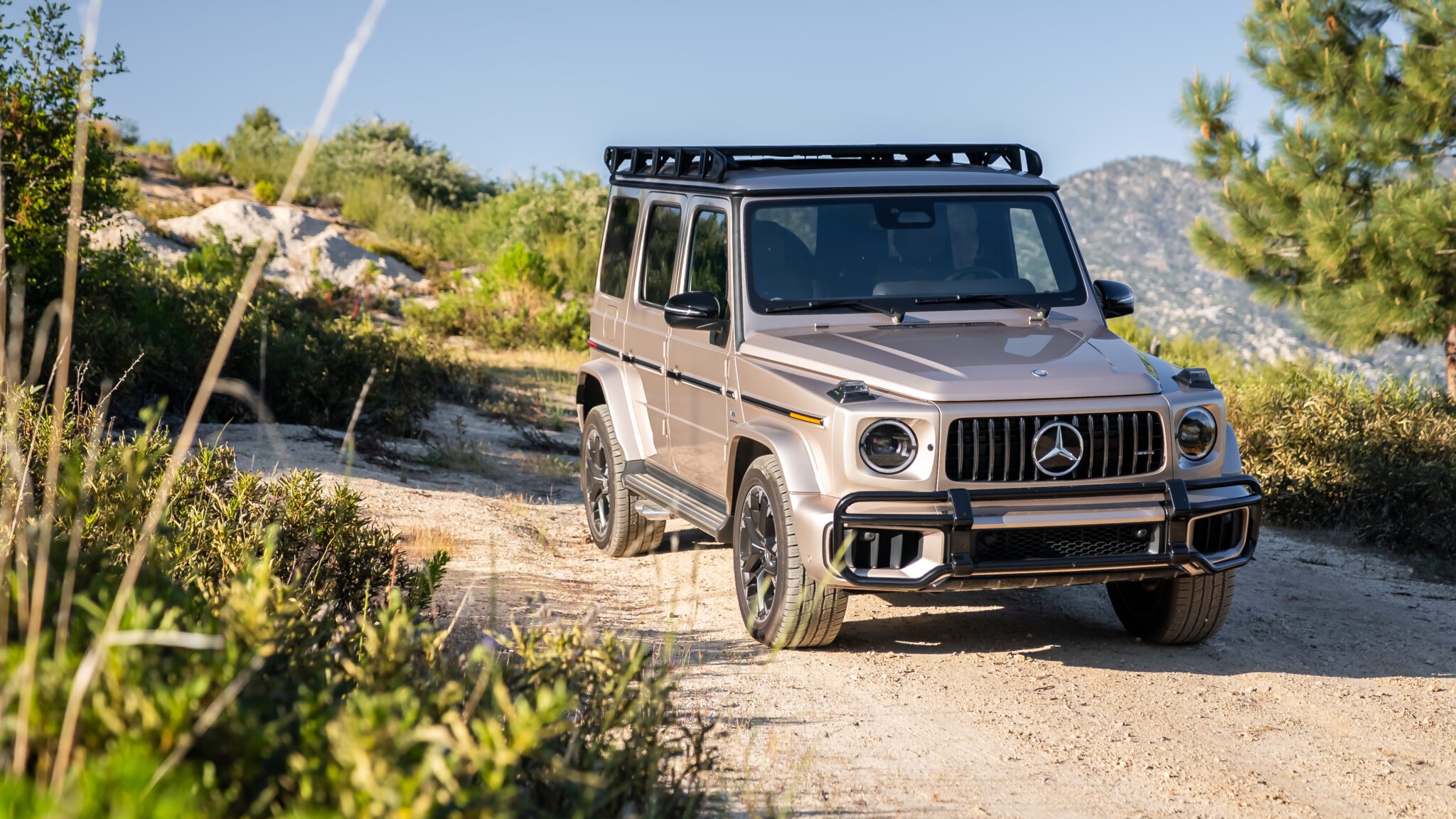 Mercedes-AMG G 63 / G-Class (W463A)